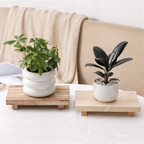 Aeris Home – Socle Wood Tray