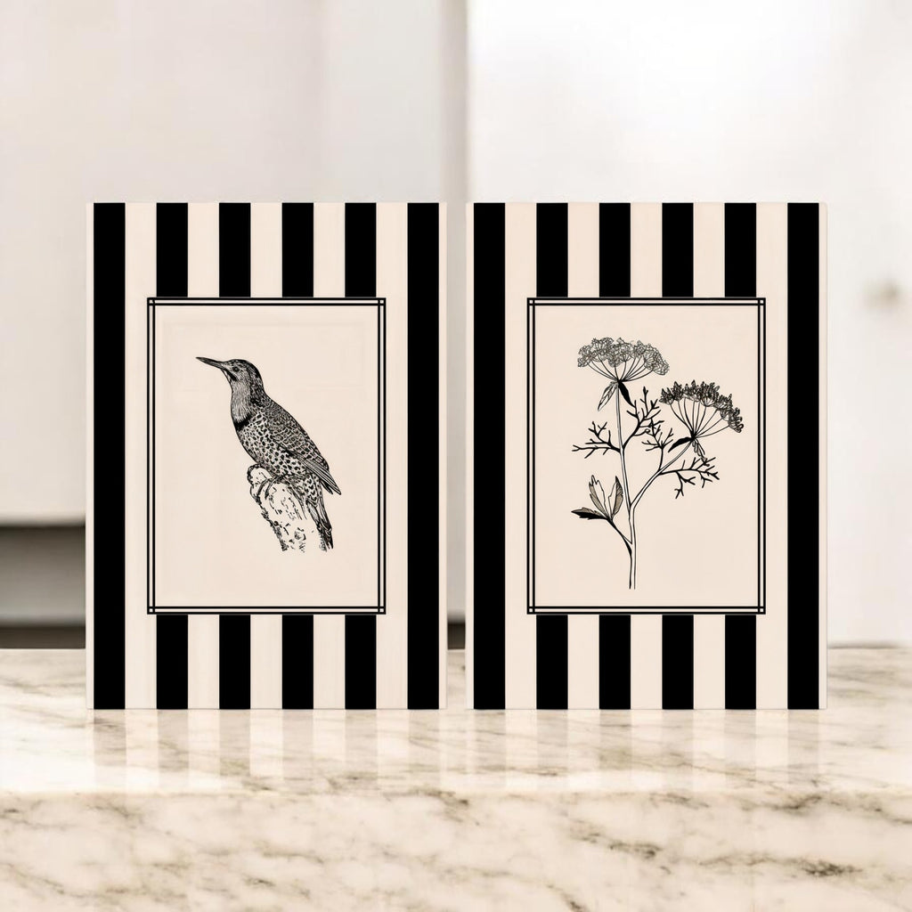 Aeris Home – Botanical Line Art Set